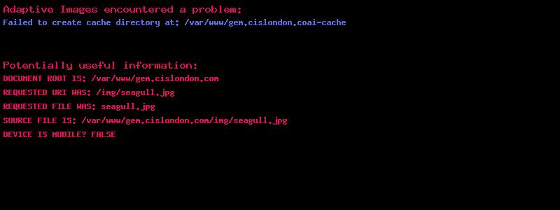 A large bird soaring