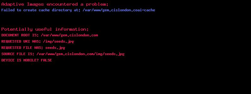 A sunset behind leaves of the meadow